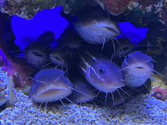 -上海海洋水族馆