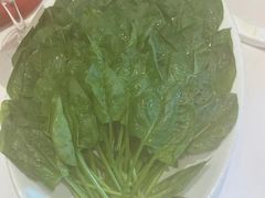 有机菠菜-皇城老妈·大连海鲜火锅(港湾店)