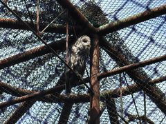 -哈尔滨北方森林动物园