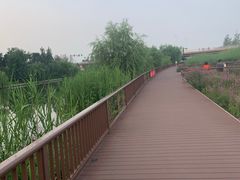 -西海子公园