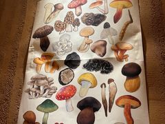 -滇野云南野生菌餐厅(陕西南路店)