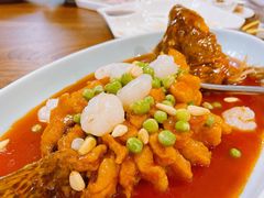 松子桂鱼-乔家栅(襄阳南路店)