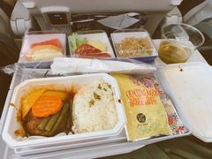 -全日本空输株式会社(上海办事处)