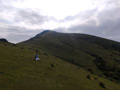 -大姆山草场