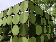 -上海鲜花港