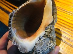 -丹东特色烤肉(南光三部店)