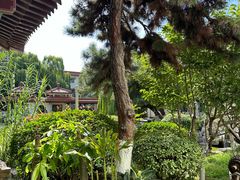 -舜耕山庄四时万和自助餐厅