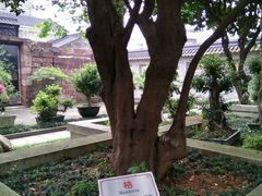 -碧江金楼