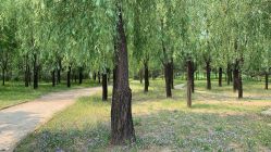 点击看大图 -爱儿美儿童摄影(朝阳公园店)