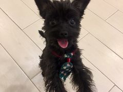 -桦立酒家(宜山路店)