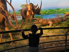 -国家自然博物馆