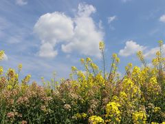 -中国天府农业博览园