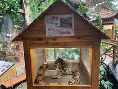 -上海大自然野生昆虫馆