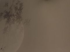 -云领御 • 影院式SPA足道(俊发广场店)