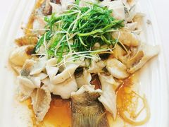 香葱蒸桂花鱼-朱仔记食府(江南大道店)