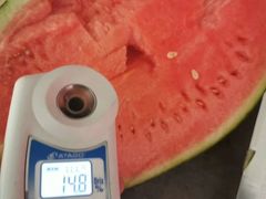 -果果家(兰州甘南路二店)