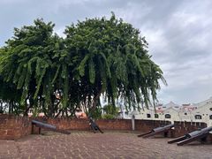 -马六甲鸡场街