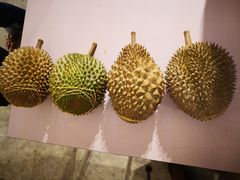 -都念榴莲·城市榴莲