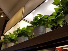 -肯德基(电力路店)