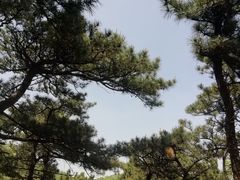 -鹫峰国家森林公园