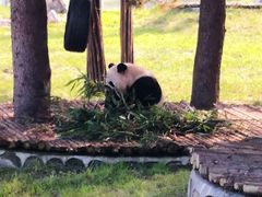 -西安秦岭野生动物园