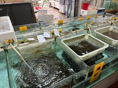 -寻味顺德·南记酒家·传统顺德菜·鱼生(广源路店)