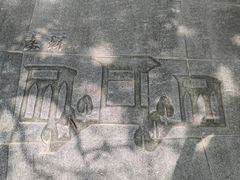 -番禺大夫山森林公园