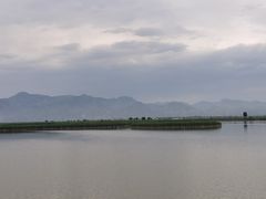 -哈素海