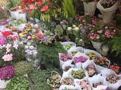 -循礼门鲜花花市(武汉循礼门店)