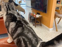 -泉乐坊步行街(烟酒特产平价超市店)