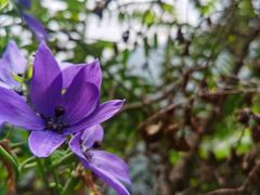 -苍山世界地质公园·石门关大峡谷