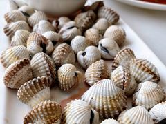 血蛤-华盛丰温州大排档(东三环南路店)