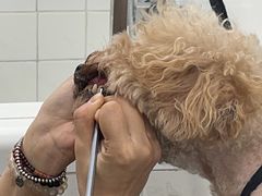 -1013 PET SHOP 宠物商店(近铁城市广场店)