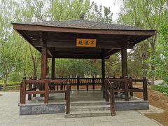 -大兴滨河森林公园