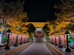 -青岛方特梦幻王国