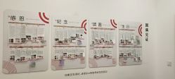 -金夫人One家全家福摄影(光环店)