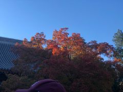 -香山公园