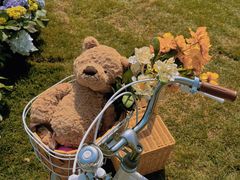 -HERRE·FARM 赫尔露营农场·团建聚会包场