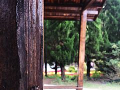 -东平国家森林公园