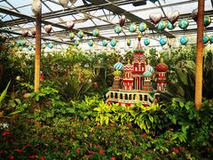 -南宫五洲植物乐园