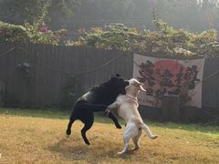 -隅乐胡椒虾·台湾菜·团建(皇岗店)