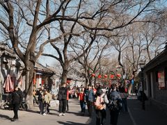 -北京国子监胡同
