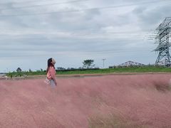 -王借岗森林公园