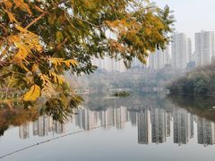 -重庆彩云湖湿地公园