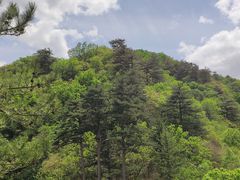 -玉渡山自然风景区