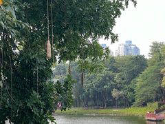 -深圳国际园林花卉博览园