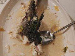 -陶缘一号·四季缘·老字号顺德菜·户外婚礼家宴(西滘店)