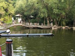 -大鹅岛绿色生态美食园