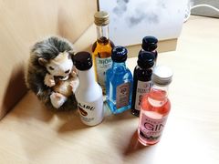 -凯夫拉维克国际机场