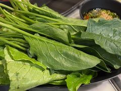 -新辣道鱼火锅(领展购物广场·中关村店)